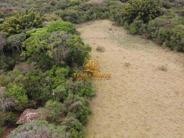 Fazenda com 80 hectares à venda em Passa Tempo/MG