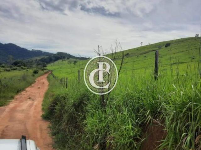 Fazenda com 82 Alqueires Estrutura Potencial em Paraibuna/SP