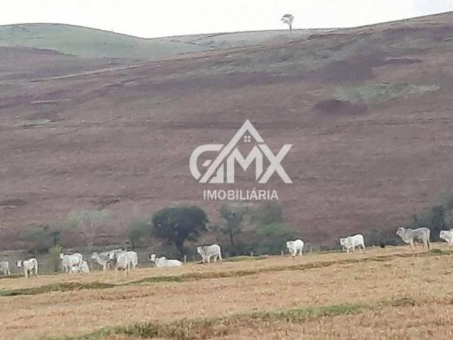 Fazenda com 8 dormitórios à venda, 14278000 m² por R$ 250.000.000,00 Rural Nova Fatima/PR