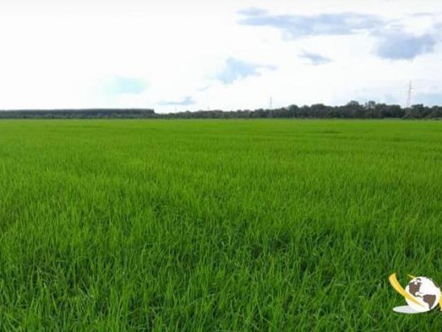 FAZENDA COM 930HEC PRA IRRIGAÇÃO