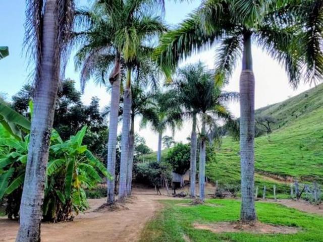 Fazenda com 106 Alqueires em Silveiras, SP Vale do Paraiba Preço de OCASIÃO