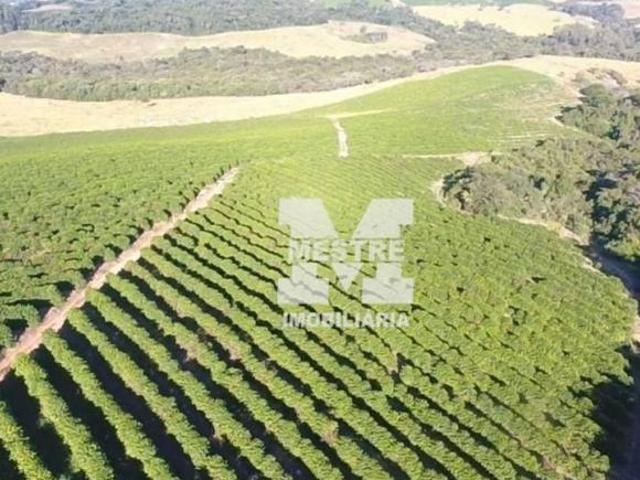 Fazenda com 112 hectares Boa Esperança/MG
