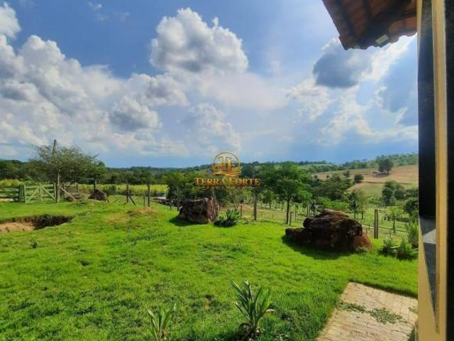 Fazenda com 115 hectares à venda em São Gonçalo do Pará/MG