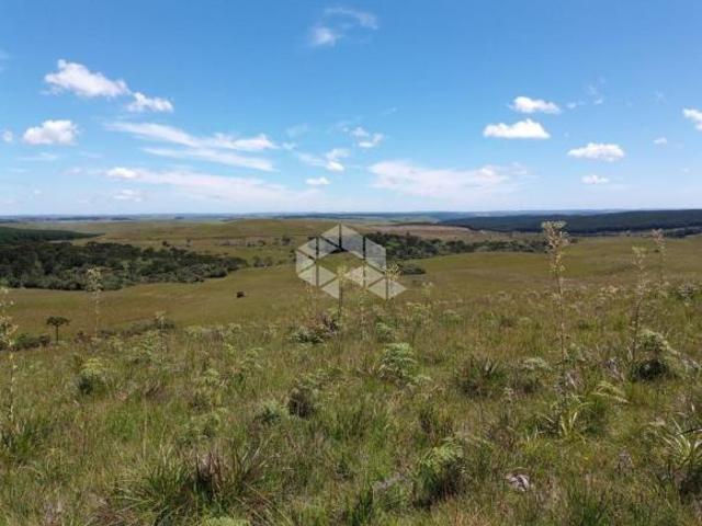Fazenda com 129 ha no Cerrito/Várzea do Cedro em São Francisco de Paula RS