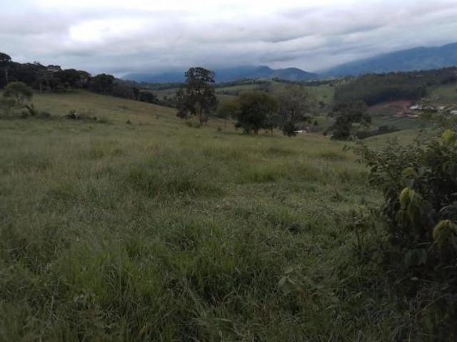 Fazenda com 130,80 hectares e curral completo em Zona Rural, Dom Viçoso/MG