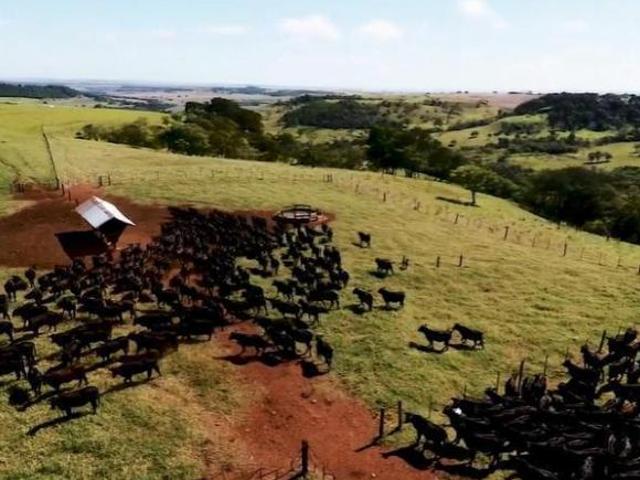 Fazenda com 1450 alqueires no Paraná