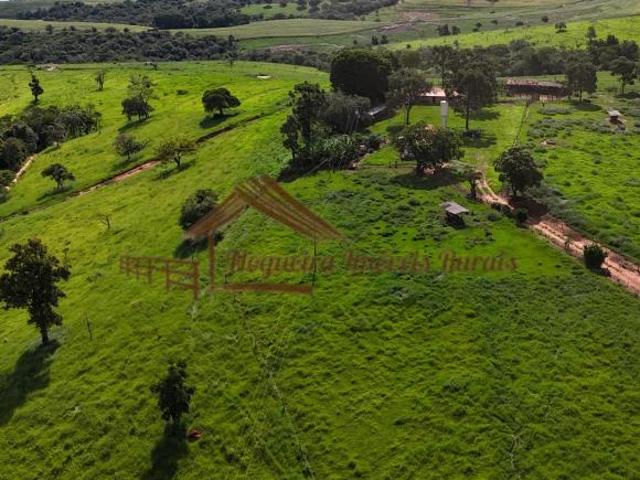Fazenda com 175 hectares na região de Taguaí SP
