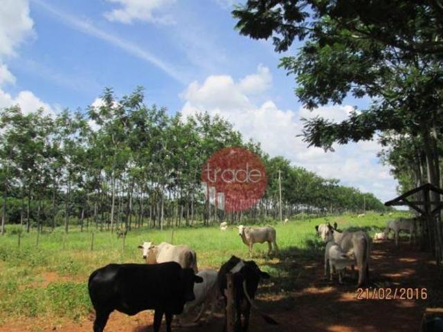 Fazenda com 1 dormitório à venda, 8820000 m² por R$ 22.000.000,00 Centro Buritizeiro/MG