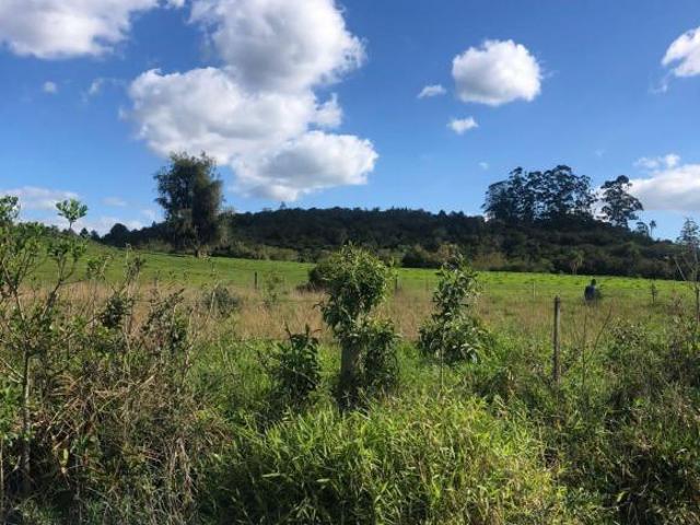 Fazenda com 200 hectares em Santo Antonio da Patrulha