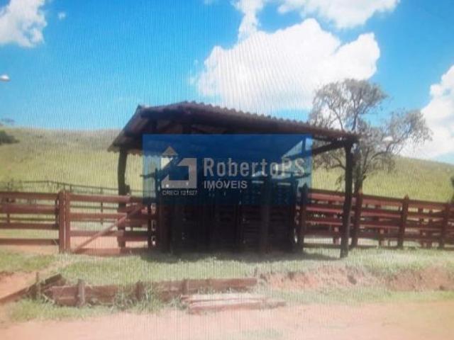 Fazenda com 206 hectares localizada entre São Lourenço e Caxambu no sul de Minas com 110 mil pés de