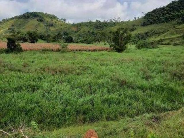 Fazenda com 210 hectares e excelente topografia em Canas, SP
