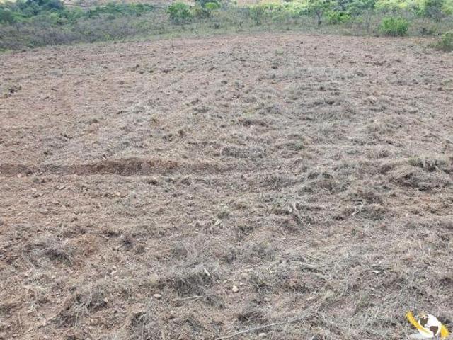 FAZENDA COM 212HEC EM PATROCÍNIO RIQUEZA DE ÁGUA E SOLO PRODUTIVO