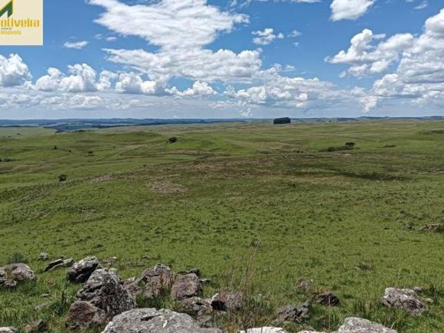 Fazenda com lavoura perto do asfalto em S.F. de Paula!
