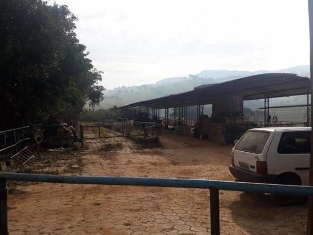 Fazenda com 230 hectares de Dupla Aptidão em Novo Horizonte, São Lourenço, MG