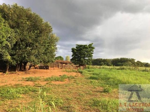 Fazenda com 24 Hectares à Venda 52 km de Montes Claros