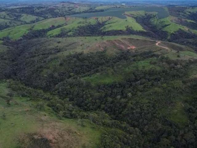 FAZENDA COM 273HEC PRA GADO, MONTADA