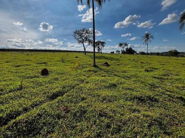 Fazenda com 33,05 hectares à venda na região das Araras em Bambuí/MG