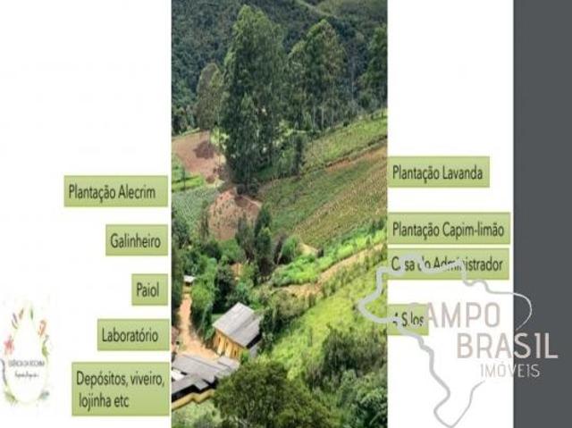 FAZENDA COM 30 ALQUEIRES EM SILVEIRAS /SP COM CERTIFICAÇÃO ORGÂNICA ECOCERT NA PRODUÇÃO DE ÓLEOS ES