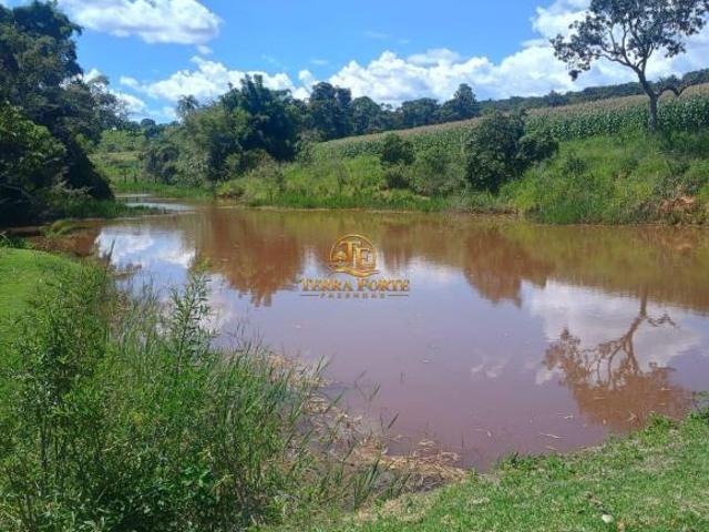 Fazenda com 30 hectares à venda em Cláudio/MG