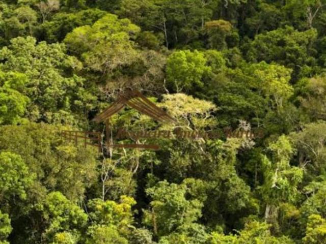 Fazenda com 320 alqueires com mata para reserva ambiental