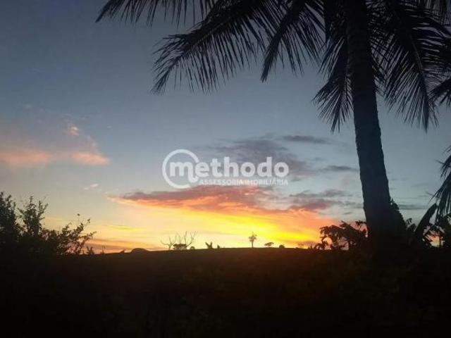 Fazenda com 3 dormitórios à venda, 1155200 m² por R$ 5.500.000,00 Fazenda Cachoeira Ilicínea/MG
