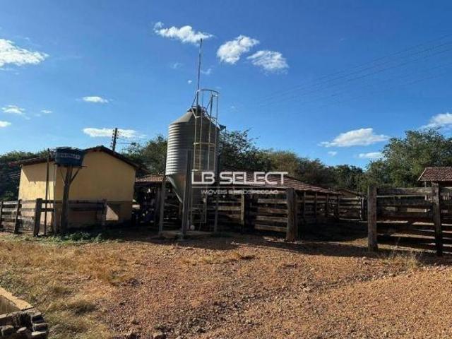 Fazenda com 3 dormitórios à venda, 1160 m² por R$ 45.000.000,00 Paracatuzinho Paracatu/MG