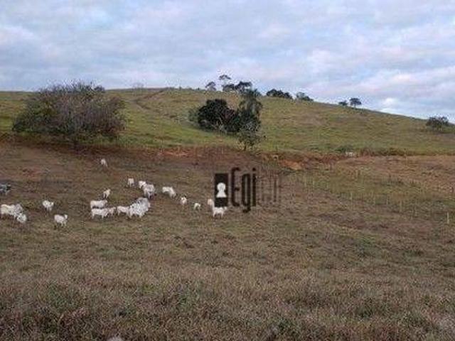 Fazenda com 3 dormitórios à venda, 220000 m² por R$ 1.300.000,00 Centro Rio Novo/MG