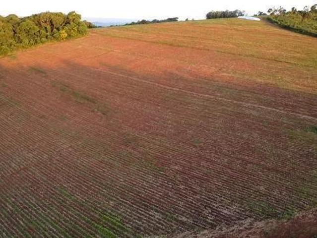 Fazenda com 3 dormitórios à venda, 430000 m² por R$ 1.950.000,00 Souza Rio Manso/MG