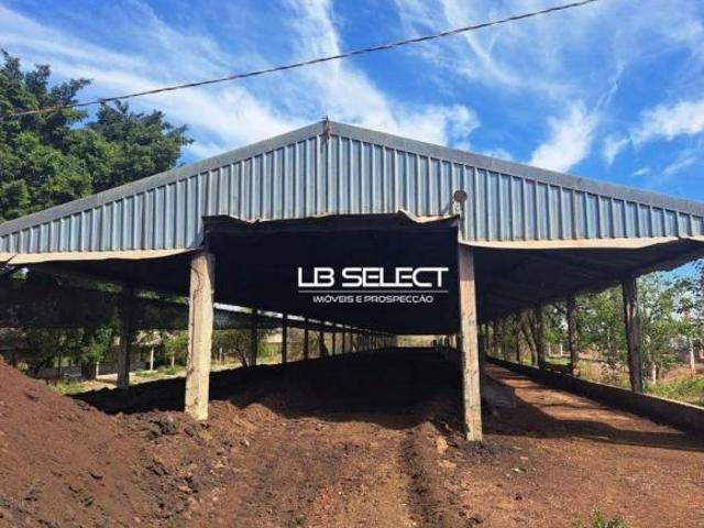 Fazenda com 3 dormitórios à venda, 774 m² por R$ 10.000.000,00 Zona Rural Prata/MG