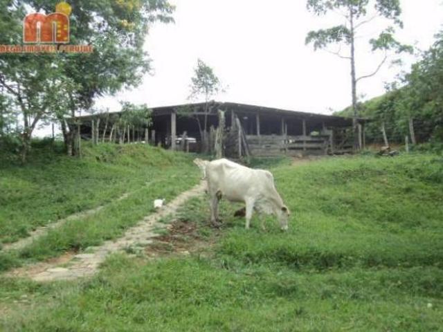Fazenda com 3 dormitórios à venda, 968000 m² por R$ 3.200.000,00 Serrote Registro/SP