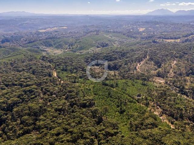 Fazenda com 3.571.400 m², à venda na Avenida Dom P
