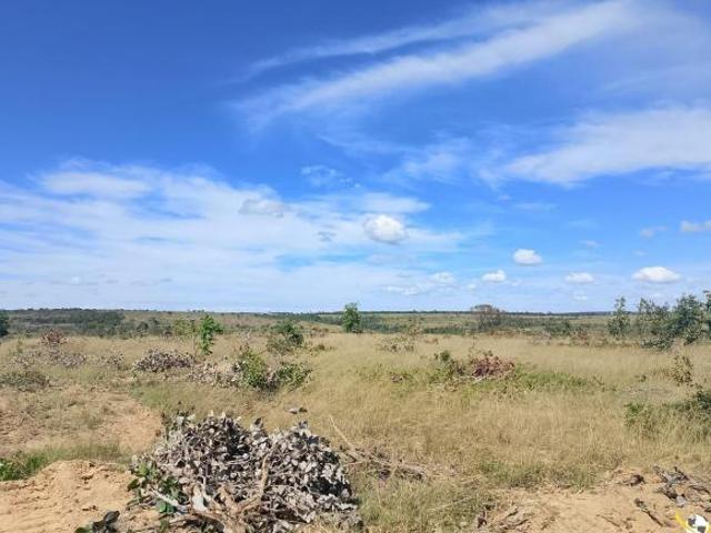 FAZENDA COM 3.830 HECTARES BEIRA RIO DO SONO JOÃO PINHEIRO