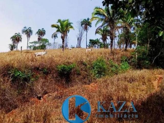 FAZENDA COM ABUNDÂNCIA DE ÁGUA E ESCRITURA EM PLANALTINA GO ? PRONTA PARA PRODUZIR