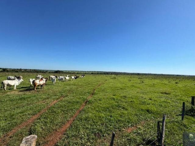 Fazenda com Alto Potencial de Irrigacao e Valo.