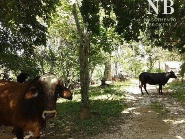 Fazenda com bastante água, 250.000m² a Venda R$ 950 mil