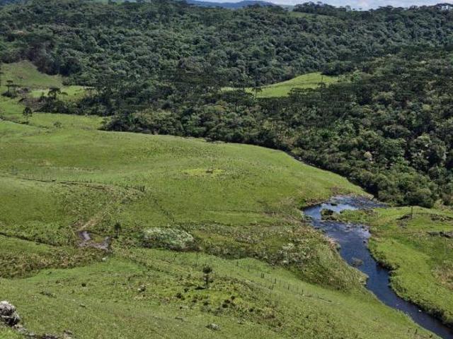 Fazenda com cânion próprio, 985 há na Serra Gaúcha!