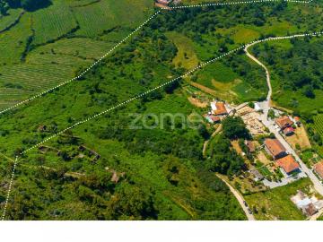 Fazenda com casa e terra 181ha, poços, Vila Boa Bispo, Marco Canaves