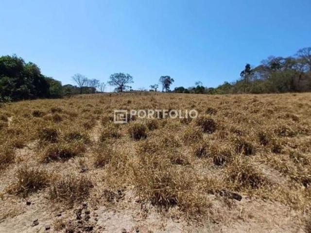 Fazenda com casa sede à venda, Zona Rural de Jaraguá, Goiás