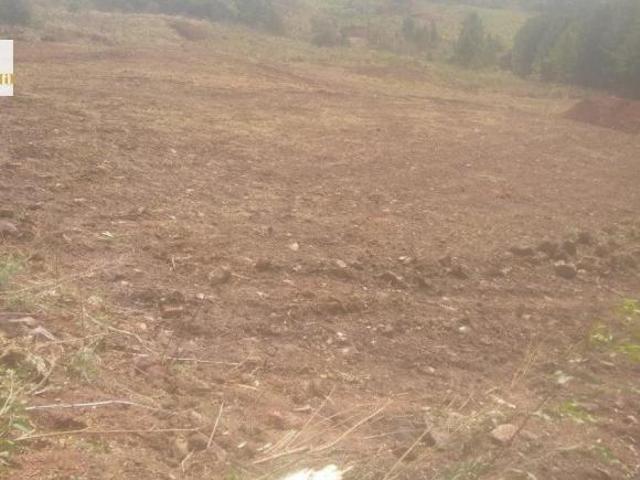 Fazenda com confinamento na Serra!