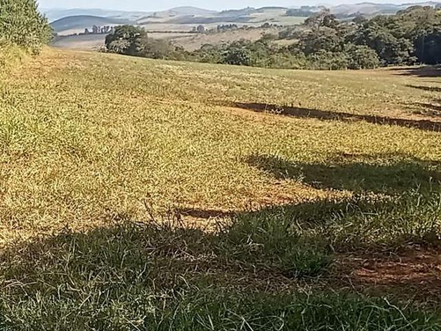 Fazenda com dupla aptidão Minas Gerais