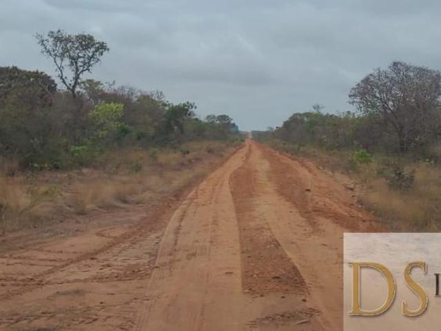 Fazenda com eucalipto à venda em Brasilândia/MG: 14.600 hectares de oportunidades!