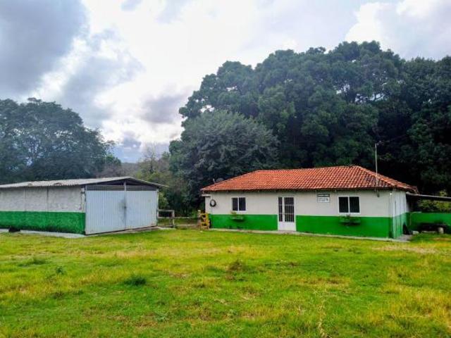 FAZENDA COM EXCELENTE LOGÍSTICA, À BEIRA ASFALTO