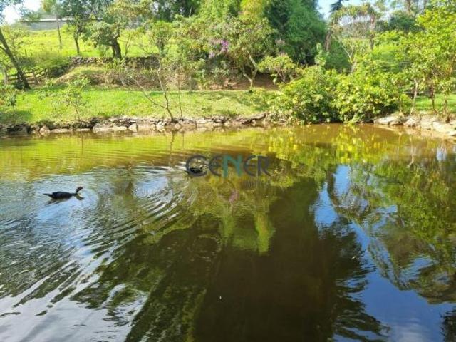 Fazenda com lindo conjunto centenário de 180 ha na região de Passa Tempo MG