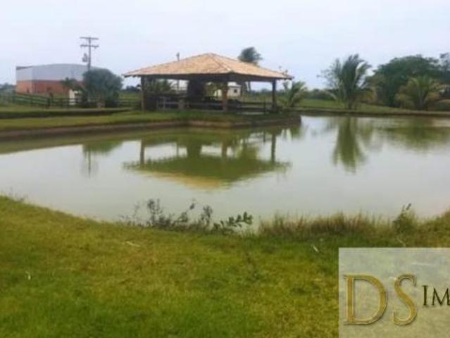 FAZENDA COM PISTA DE POUSO A VENDA NO ESTADO DE SÃO PAULO, 130 ALQUEIRES, RICA EM ÁGUA, COM TERRA MI
