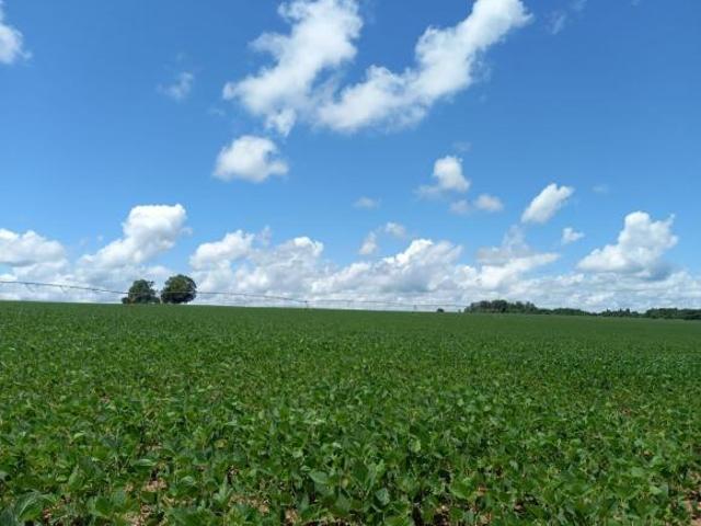FAZENDA COM PIVÔS PRÓXIMO A LAGAMAR DOS COQUEIROS EM COROMANDEL/MG