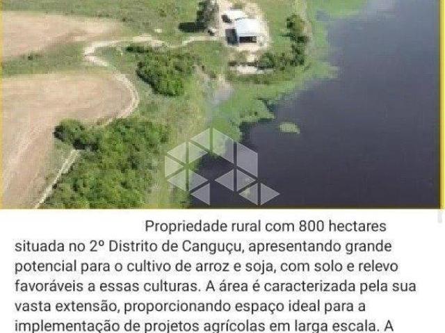 Fazenda com Plantação de Soja e Grande Potencial Produtivo