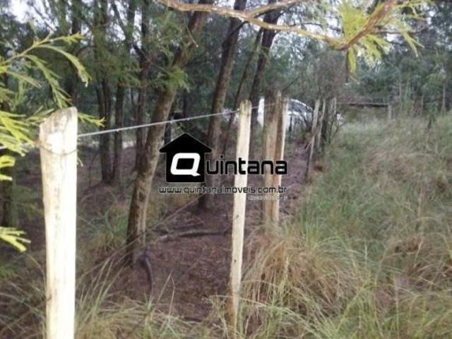 FAZENDA COM REFLORESTAMENTO