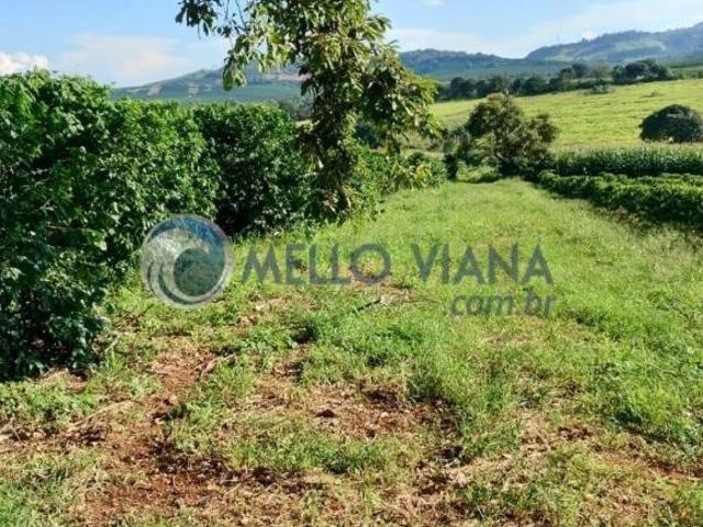 Fazenda comercial de 35 hectares à venda em Boa Esperança MG: oportunidade única!