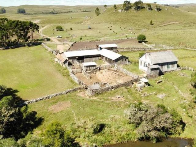 Fazenda completa na Serra Gaúcha!