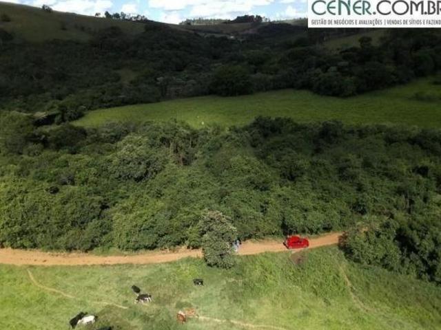 Fazenda Completa de 60 ha – Beleza, tradição e produtividade em um só lugar!
